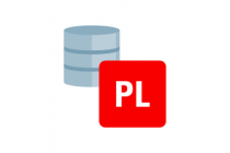 PL/SQL: Concept de Base